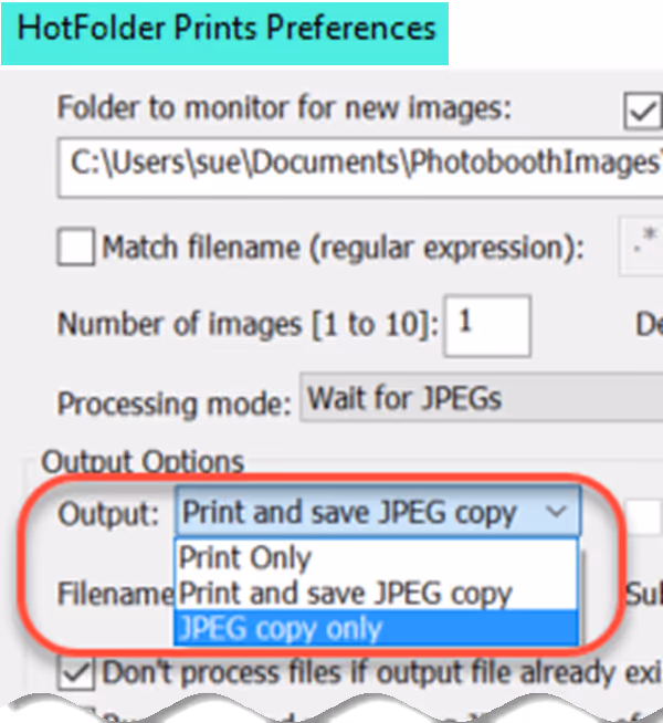 Select Print and save JPEG copy for automatic printing, and JPEG copy only if you don't want to print the images immediately