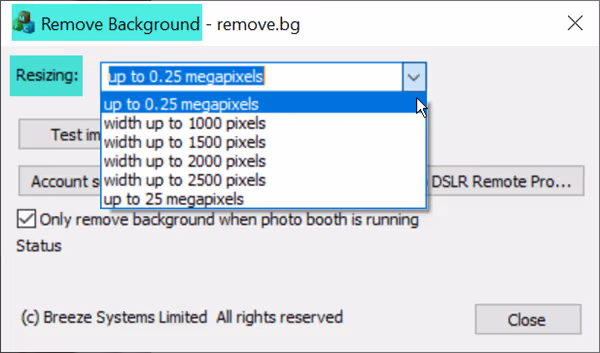 Selecting up to 0.25 megapixels from the Resizing menu in the Remove Background tool