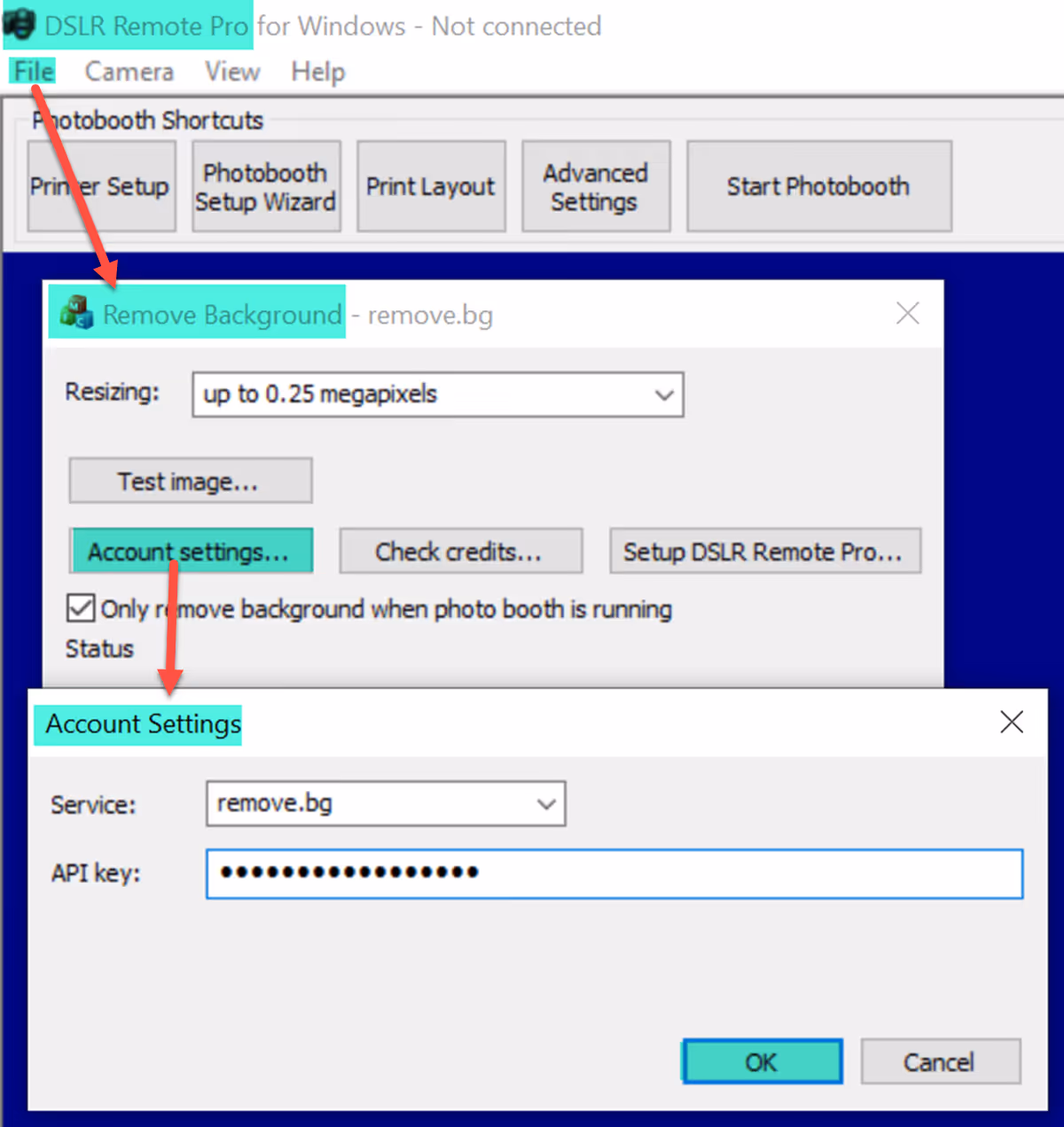 Running the Remove Background utility and adding an API key (DSLR Remote Pro 3.15.1)