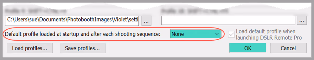 Setting the default profile to None prevents a new profile being loaded automatically