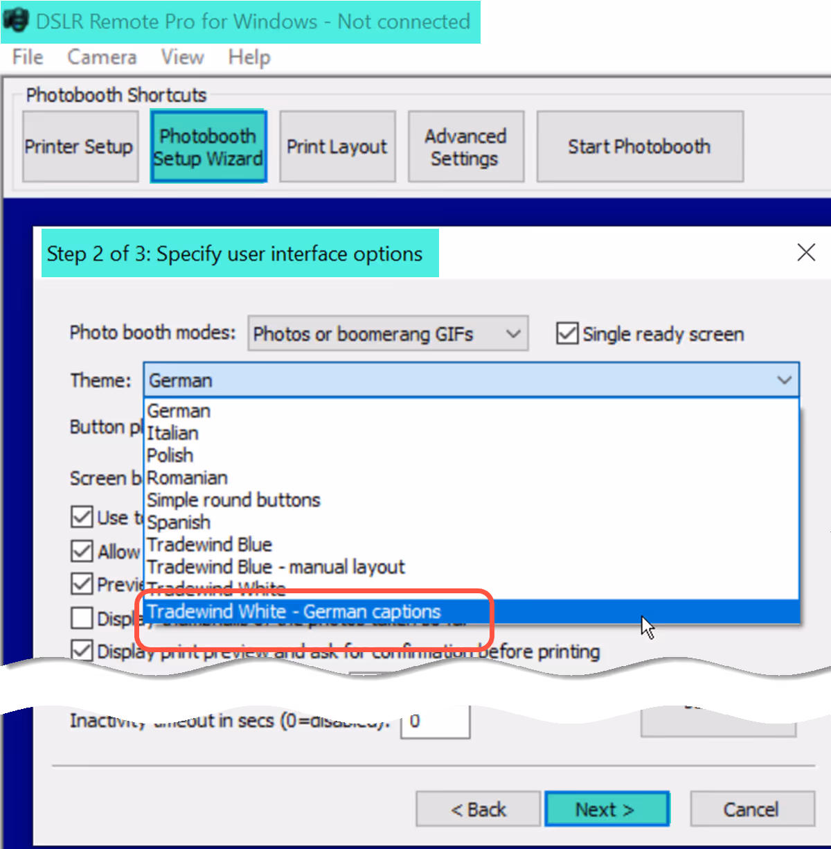 Selecting my new theme at Step 2 of the setup wizard (DSLR Remote Pro 3.14.3)