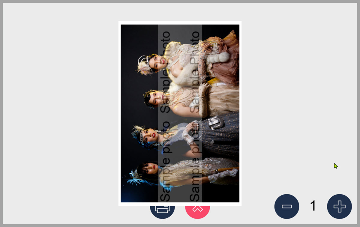 Breeze DSLR Remote Pro Print Preview screenshot showing incorrect rotation