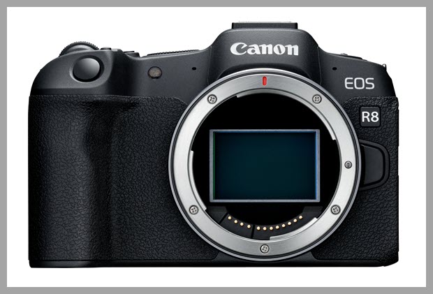 Canon EOS R8 camera body